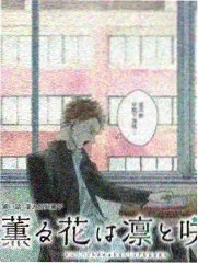探秘者联盟第3季 - 综艺 2025 真人秀